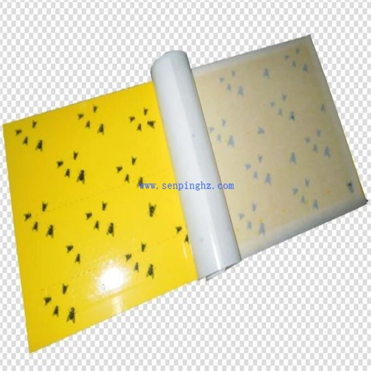 Ricarica Fly Glue Board