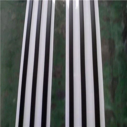 Foro Posizionamento Porta Colla Butilica